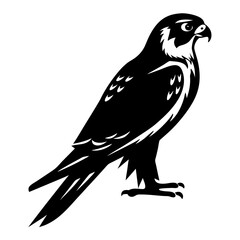 Striking black and white silhouette of a falcon standing alert and proud