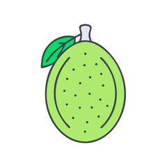 Illustration of a single green fruit with leaf a light green oblong shape and small dark dots