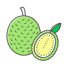 Obraz premium Illustration of a whole breadfruit and a breadfruit slice showing its creamy yellow flesh