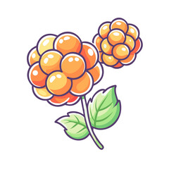 Cartoon Illustration of Two Clusters of Cloudberries on a Stem with Leaves