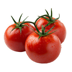 Three juicy red tomatoes on the vine fresh from the garden,