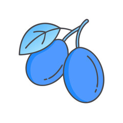 Two Ripe Blue Plums on a Branch with a Leaf Fresh Fruit Illustration