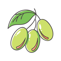 Three Green Olives on a Branch with a Leaf Illustration of Fresh Olives Healthy Mediterranean Diet Cooking Ingredient
