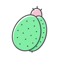 Illustration of a Prickly Pear Cactus Fruit a Vibrant Green Color with Small Dark Spots and a Pink Top