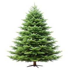 Lush green fir tree on a Transparent Background perfect for holiday and Christmas decorations