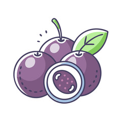 A Delicious Cluster of Juicy Purple Jabuticabas Ready to Eat