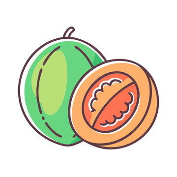 green melon fruit cut open clip art preview