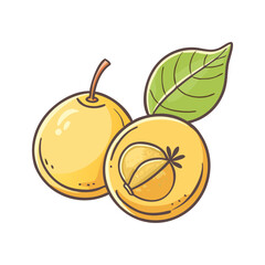 Illustration of a whole and a half of a ripe yellow jocote fruit with a green leaf
