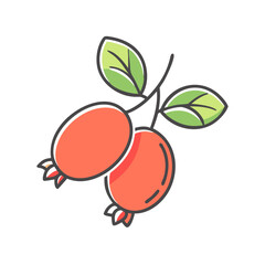 Illustration of two ripe red berries on a branch with green leaves a simple line drawing of fresh fruit