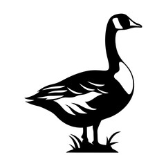 Elegant Silhouette of a Majestic Canada Goose Standing on the Grass