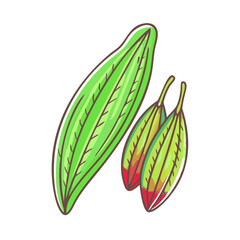 Vibrant Green Leaf with Three Red Tipped Seed Pods Illustration