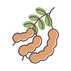 Illustration of Tamarind Fruit on Branch with Leaves A Delicious Tropical Treat