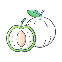 Illustration of a whole and halved tropical fruit with a single seed inside a light green rind and a white fleshy exterior