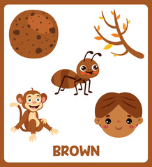 Color Flashcard With Various Elements