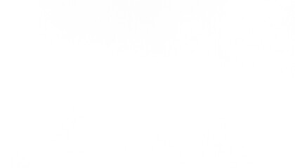 Transparent distressed white grainy texture with dust overlay textured. Grainy noise white particles and snow effect on a transparent background.