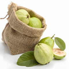 Fresh guawa in Burlap Sack Isolated Harvest Concept