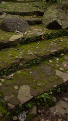 Mossy Natural Stone Steps – Rustic Pathway Design
