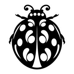 Stylized Black and White Ladybug Illustration Artistic Design Graphic Image Vector Art