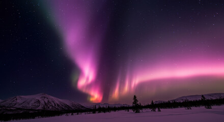 Spectacular aurora borealis lights paint the night sky above snow covered mountains.