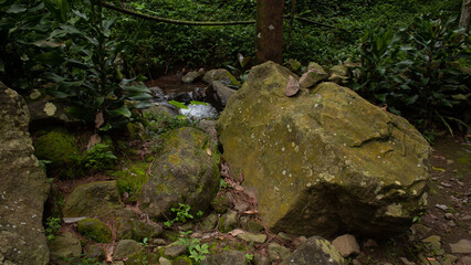 Mossy Natural Boulder in a Lush Green Setting
