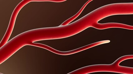3D Blood Vessel Growth Animation,Medical Education , Surgical Simulation Background,Capillary branching to visualize blood vessel growth, HD, 30fps,alpha channel overlay.