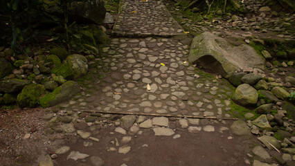 Natural Dirt and Stone Pathway through Outdoor Landscape