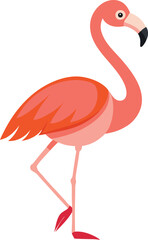 Flamingo standing on one leg