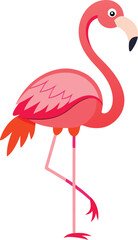 Flamingo standing on one leg