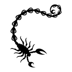 Obraz premium Elegant Black Silhouette of a Scorpion in a Curled Position Artistic Design Illustration