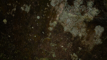 Natural Stone Texture with Moss and Damp Stains