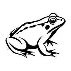 Stylized Black and White Illustration of a Frog Amphibian Animal