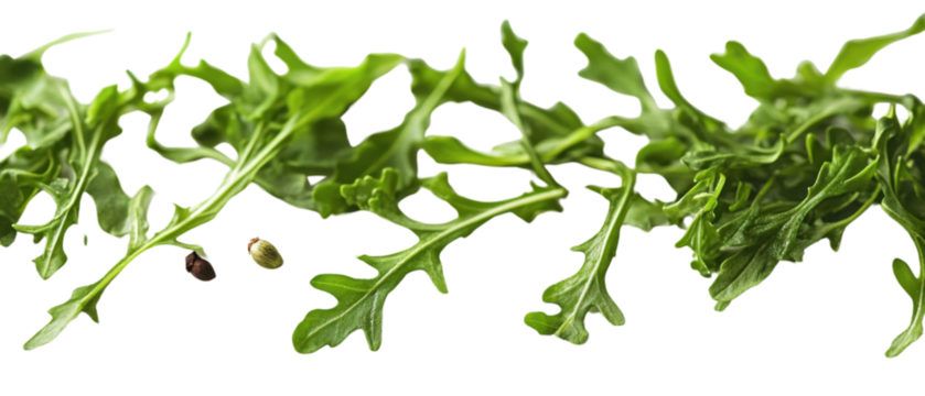 example food blog background or cooking banner background. Spices and herbs. Variety of fresh arugula mediterranean herbs.