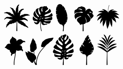  set of Tropical leaves vector silhouette vector © Rani