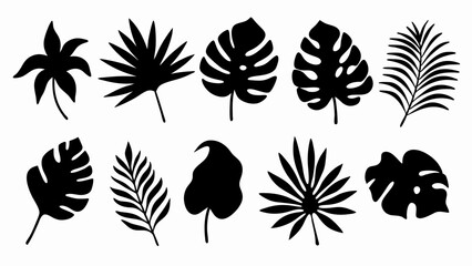  set of Tropical leaves vector silhouette vector © Rani