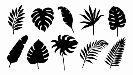  set of Tropical leaves vector silhouette vector