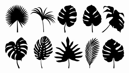  set of Tropical leaves vector silhouette vector © Rani