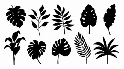  set of Tropical leaves vector silhouette vector © Rani