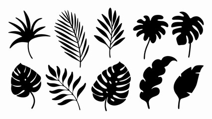  set of Tropical leaves vector silhouette vector © Rani