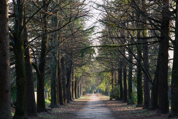 Camminare e fotografare le bellezze dell’Italia  nelle sue parti più affascinanti e nascoste 
