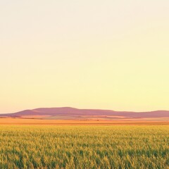 Fototapeta premium Serene vista of golden wheat field meeting distant hills under pastel sky at sunset rural landscape