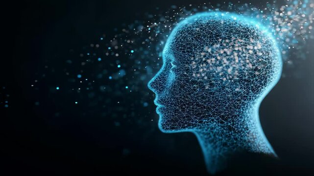 Digital Representation of a Human Head in Profile