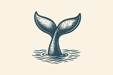 Engraved whale tail emerging from water in vintage black line style © Victoria