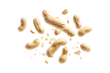 Scattered Raw Peanuts with Natural Texture on Transparent Background for Culinary and Snack Use