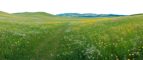 PNG Beautiful spring landscape with a blue sky scenery flowers natural.