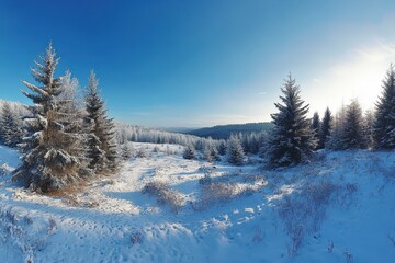 Fototapeta premium Calming Nature. Magnificent Panoramic View of the Wild and Untouched Carpathian Landscape