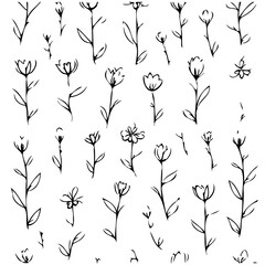 Hand Drawn Ink Floral Pattern on White Backdrop