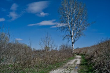 Camminare e fotografare le bellezze dell’Italia  nelle sue parti più affascinanti e nascoste 