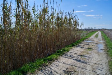 Camminare e fotografare le bellezze dell’Italia  nelle sue parti più affascinanti e nascoste 