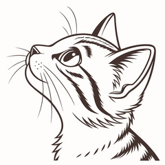 Elegant Line Art Illustration Of A Striped Cat Looking Upwards In A Curious And Focused Pose On Plain Background