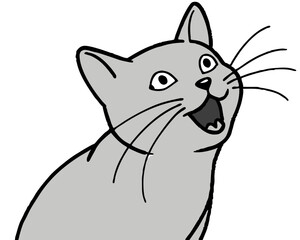 Cartoon Gray Cat Looking Upwards With Astonished Expression Showing Excitement In Its Eyes And Expression With Open Mouth Pet Illustration
